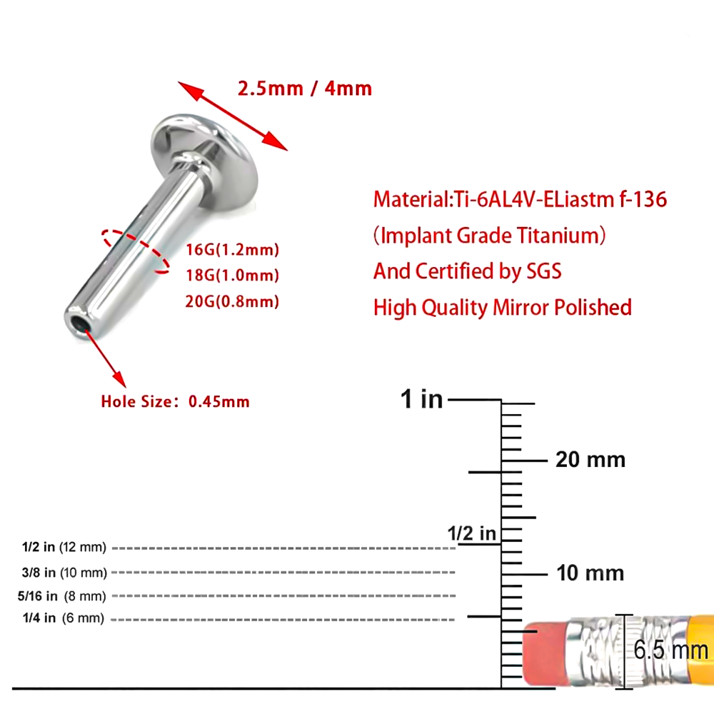Brand New 10-Piece Set F136 Ti - Body Jewelry Brands のレビューと価格